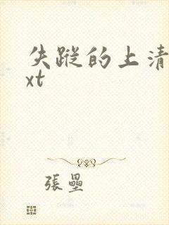 失踪的上清寺txt