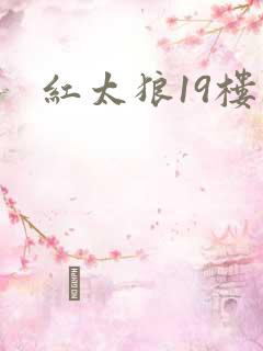 红太狼19楼