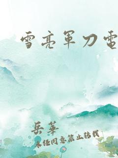 雪亮军刀电视剧