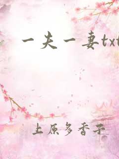 一夫一妻txt