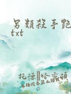 另类杀手艳福星txt