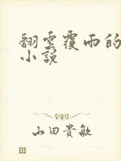 翻云覆雨的秘密小说