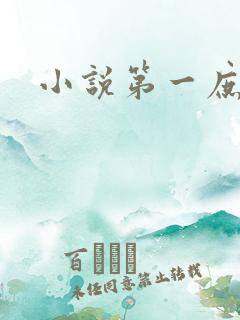 小说第一庶女