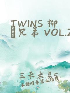 TWINS 柳澤兄弟 VOL.2