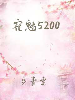宠魅5200
