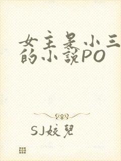 女主是小三很婊的小说PO