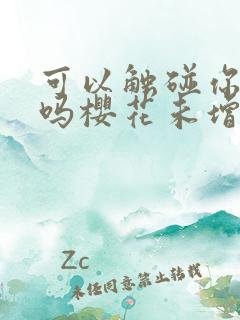 可以触碰你深处吗樱花未增删