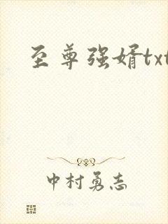 至尊强婿txt