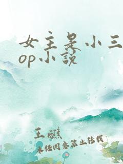 女主是小三的pop小说