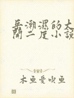 岳潮湿的大肥梅开二度小说