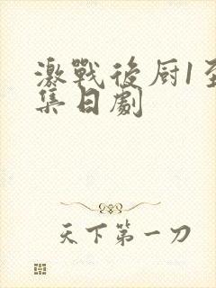 激战后厨1至5集日剧