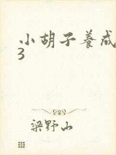 小胡子养成计划3