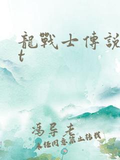 龙战士传说txt