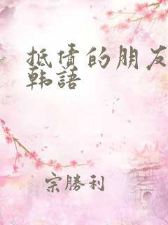 抵债的朋友麦子韩语