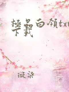 极品白领txt下载