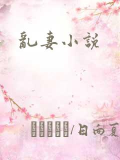 乱妻小说