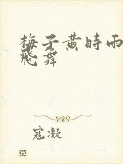 梅子黄时雨流光飞舞