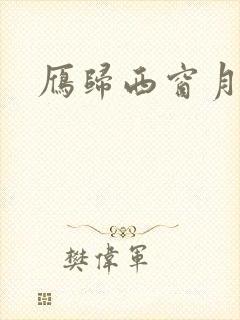 雁归西窗月小说