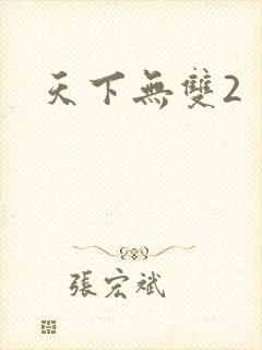 天下无双2