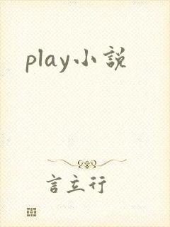 play小说