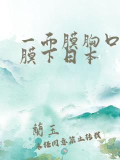 一面膜胸口一面膜下日本