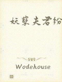 妖孽夫君纷上门