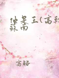 他是王(高干)苏南
