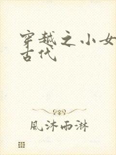 穿越之小女子闹古代