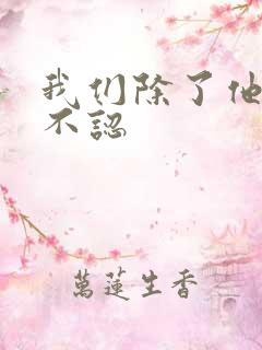 我们除了他谁都不认