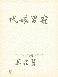 代嫁男宠