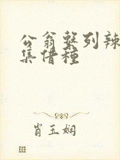 公翁系列辣文全集借种
