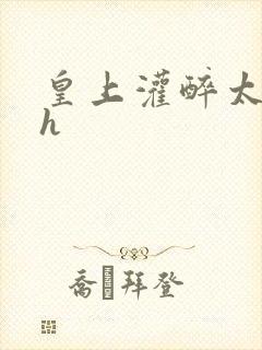 皇上灌醉太子妃h