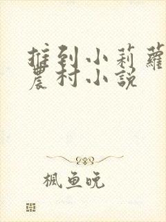 推到小莉萝稚嫩农村小说