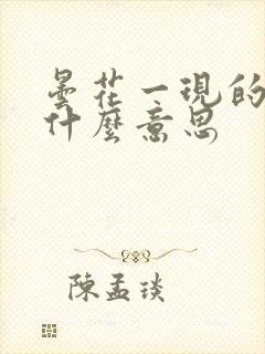 昙花一现的现是什么意思