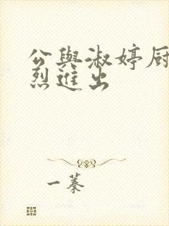 公与淑婷厨房猛烈进出