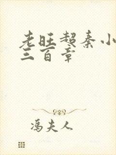 老旺超秦小雨第三百章