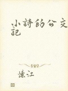 小诗的公交车日记