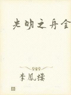 光明之舟金手指