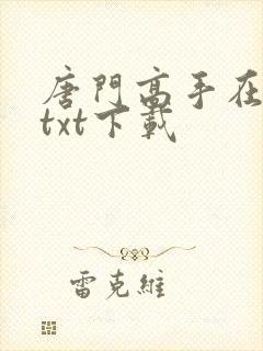 唐门高手在异世txt下载