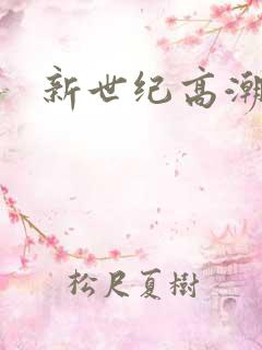 新世纪高潮战队