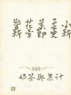 警花叶柔小说最新章节更新