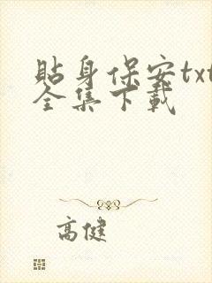 贴身保安txt全集下载