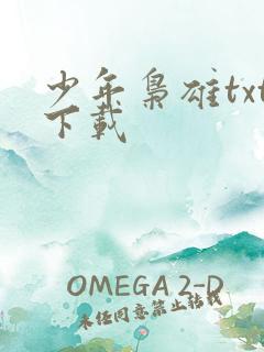 少年枭雄txt下载