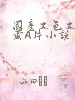 国产又色又爽又黄A片小说