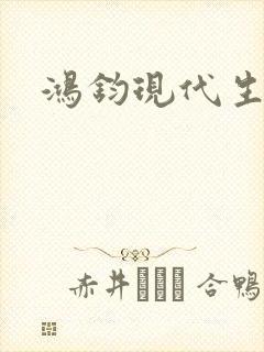 鸿钧现代生活录