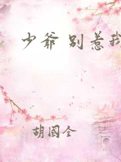 少爷 别惹我