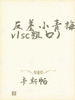 反差小青梅(1v1sc粗口)