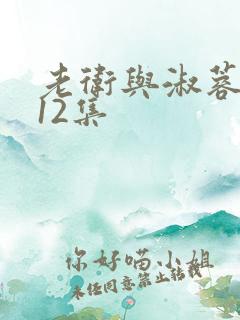 老卫与淑蓉1一12集