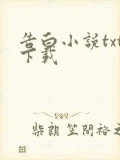 告白小说txt下载