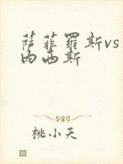 萨菲罗斯vs杰内西斯